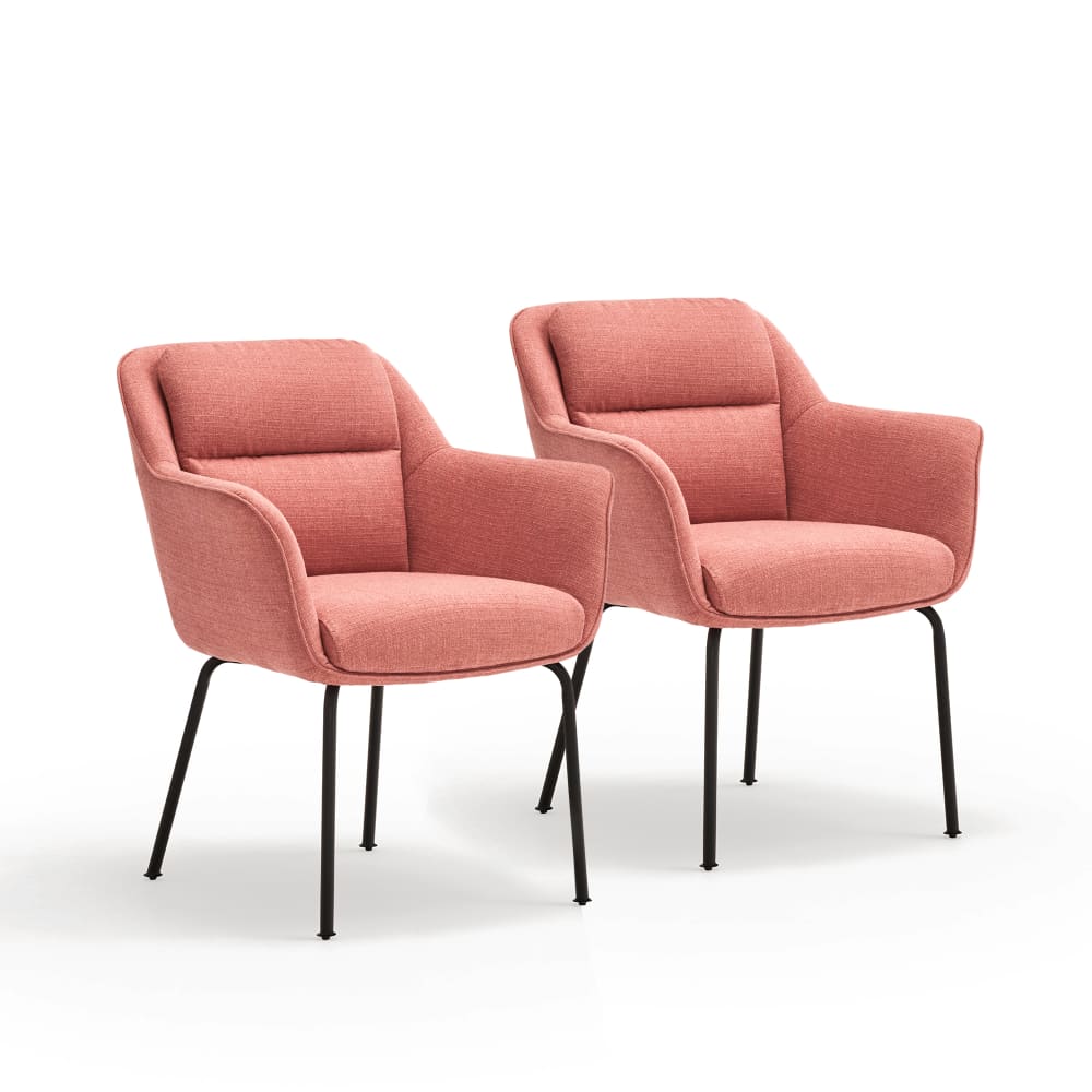 Lot de 2 chaises rembourré