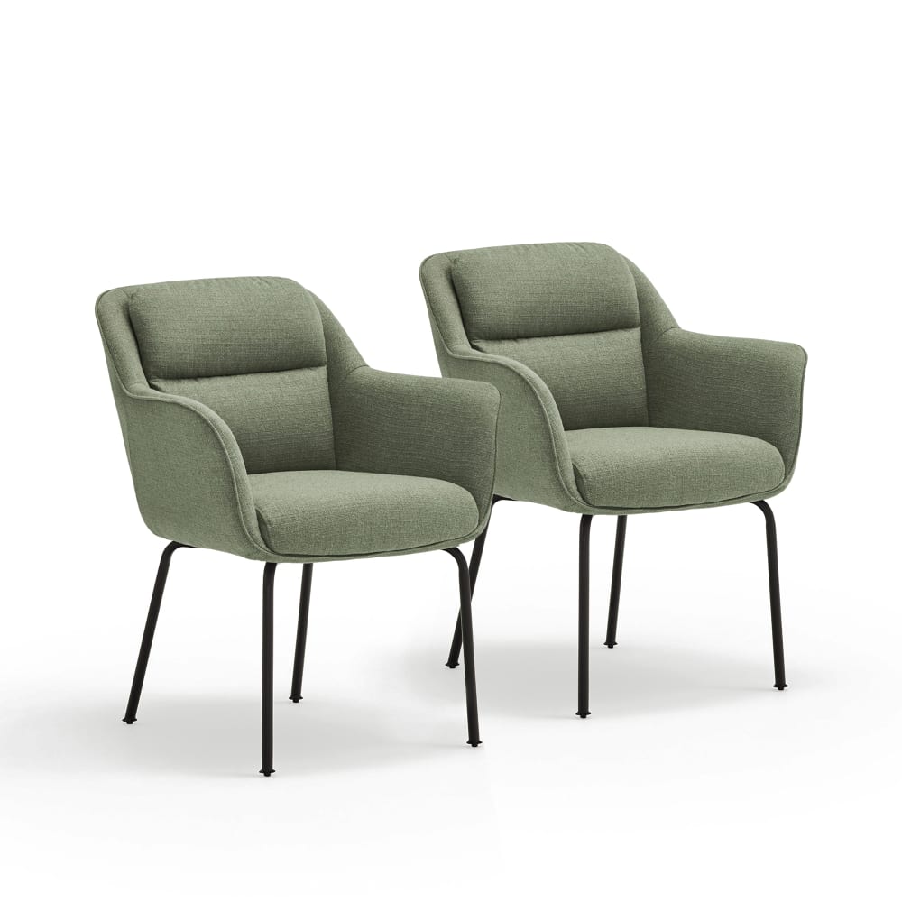 Lot de 2 chaises rembourré