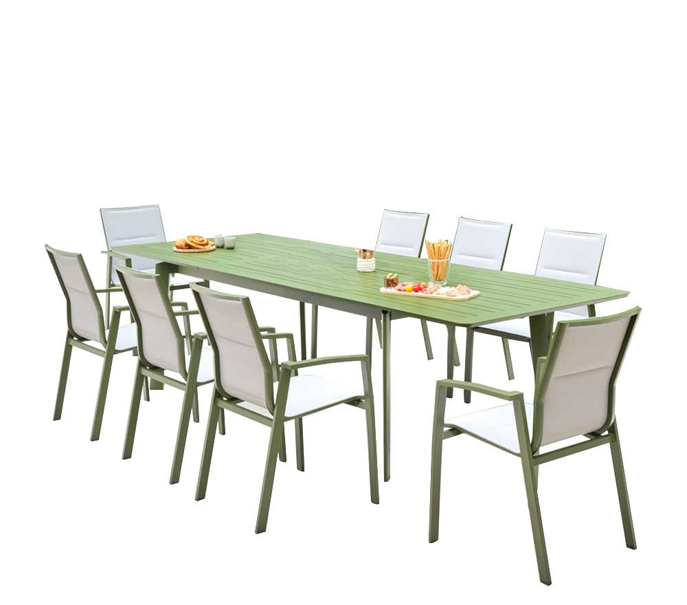 Ensemble table et 8 chaises
