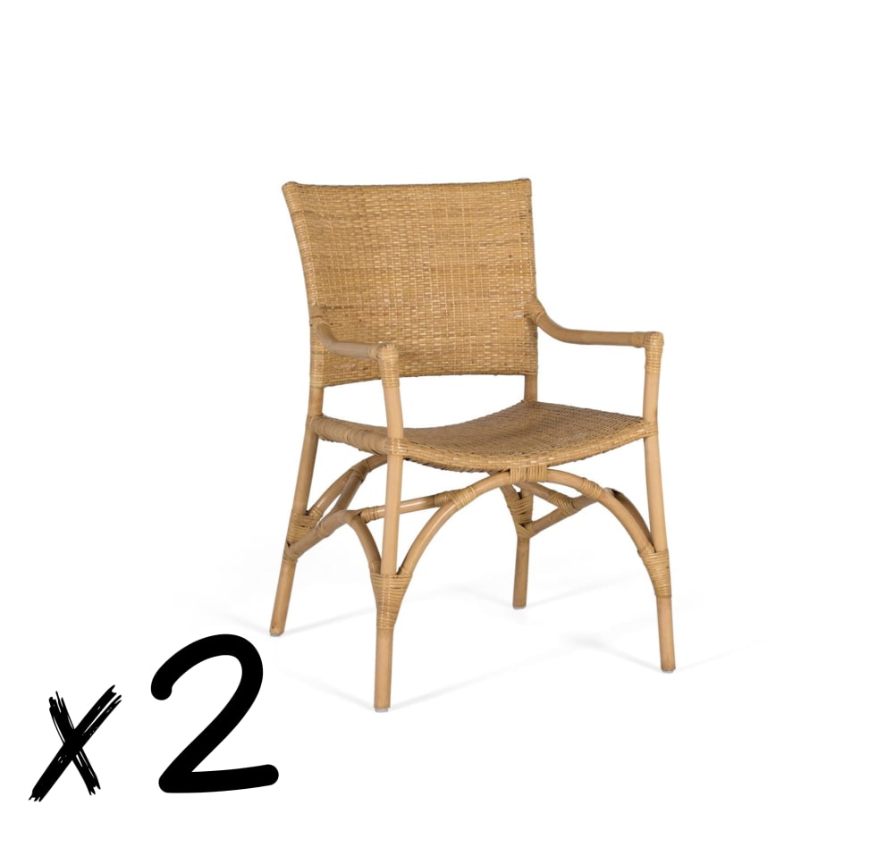 Ensemble de deux chaises
