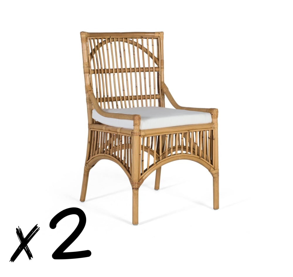 Ensemble de deux chaises en rotin avec coussins rembourrés