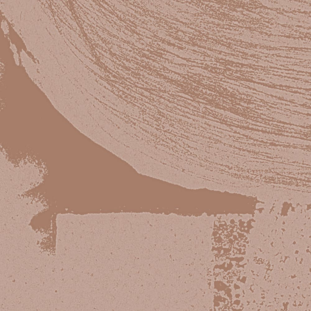 Papier peint graphique, brun 375 x 250cm — vue 4