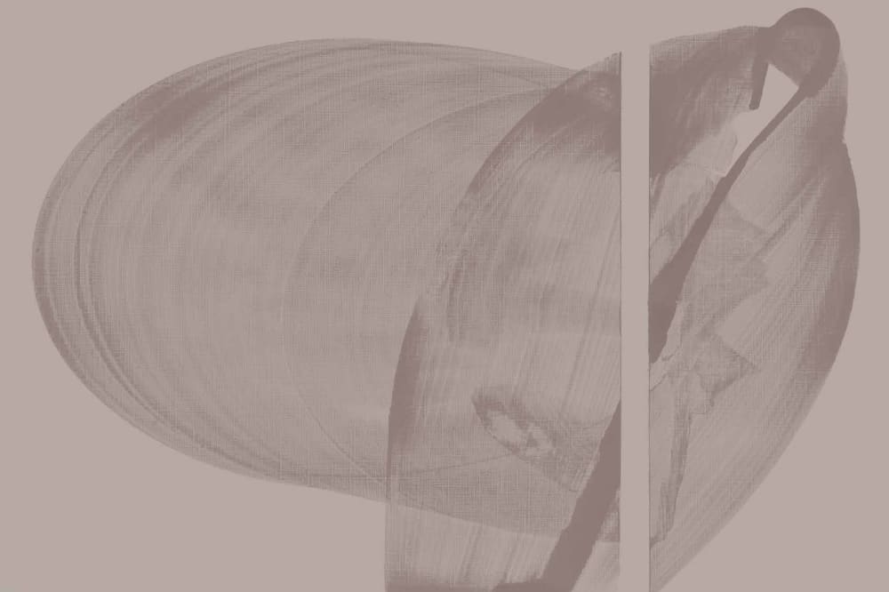 Papier peint graphique, brun 300 x 250cm — vue 3