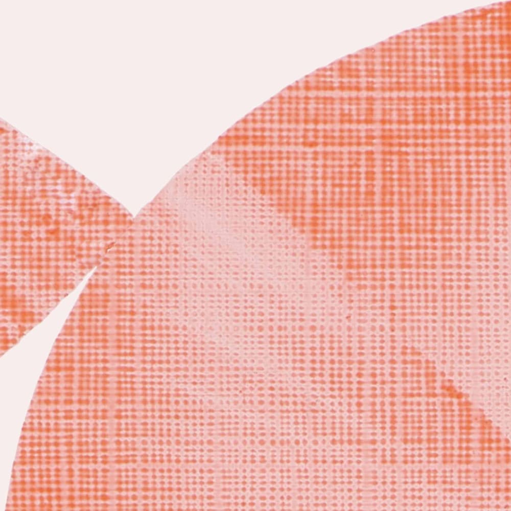Papier peint graphique, rouge 375 x 250cm — vue 4