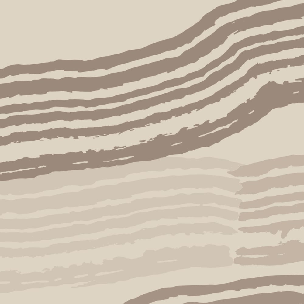 Papier peint paysage graphique, beige 300 x 250cm — vue 4