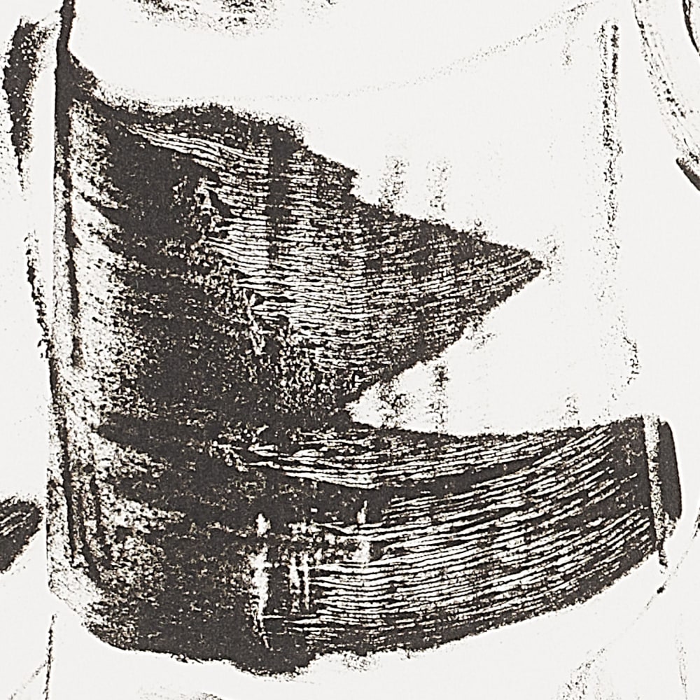 Papier peint graphique, noir 225 x 250cm — vue 4
