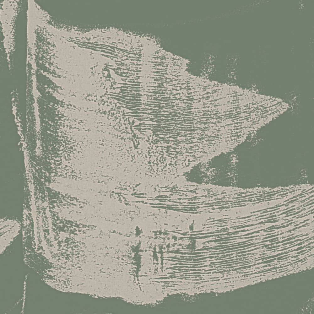 Papier peint graphique, vert de gris 300 x 250cm — vue 4