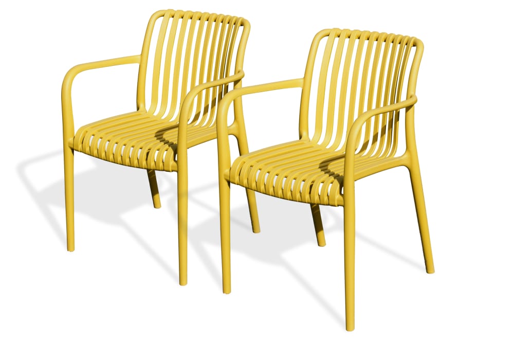 Lot 2 fauteuils - jardin