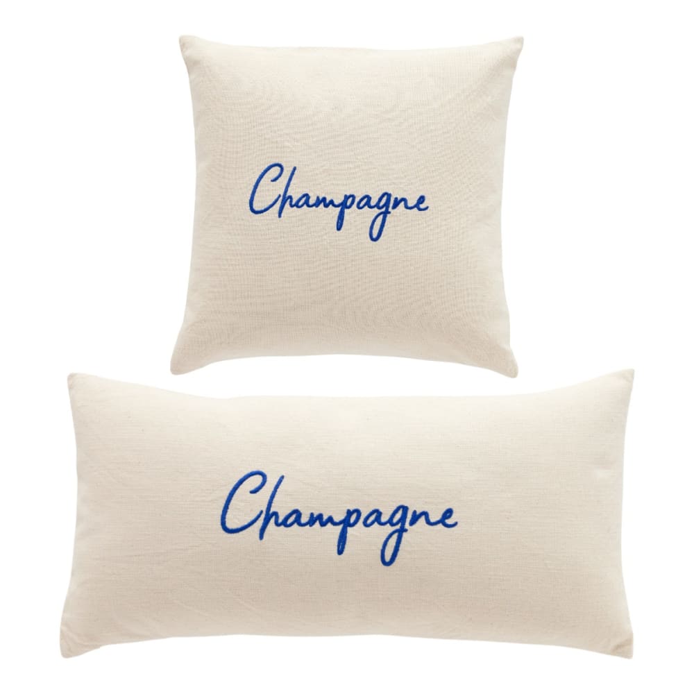 Lot de 2 coussins déhoussables brodés 45x45cm bleu