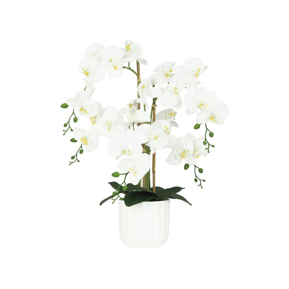 Orchidée artificielle toucher réel 60cm Orchidée artificielle toucher réel 60cm
