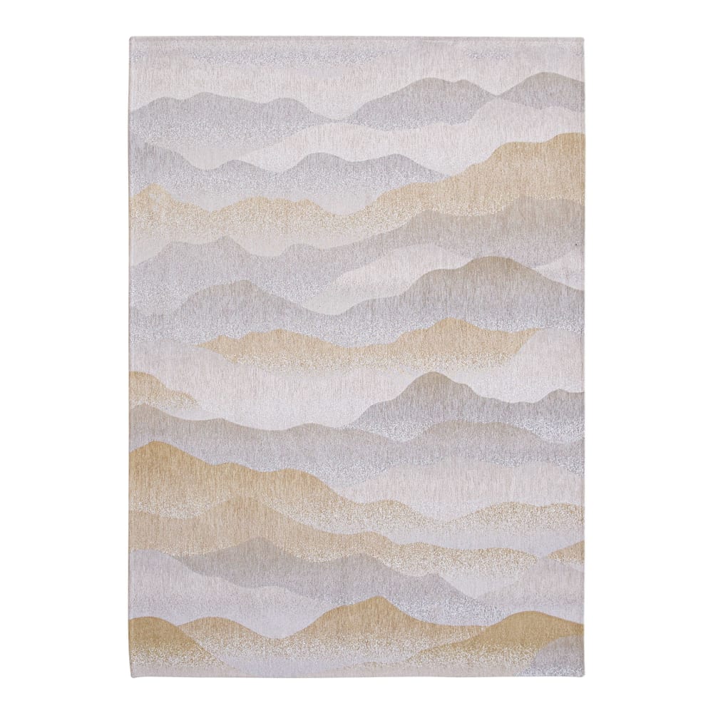 Tapis salon et chambre - plat