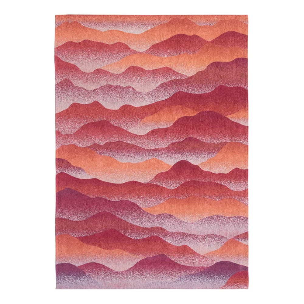 Tapis salon et chambre - plat