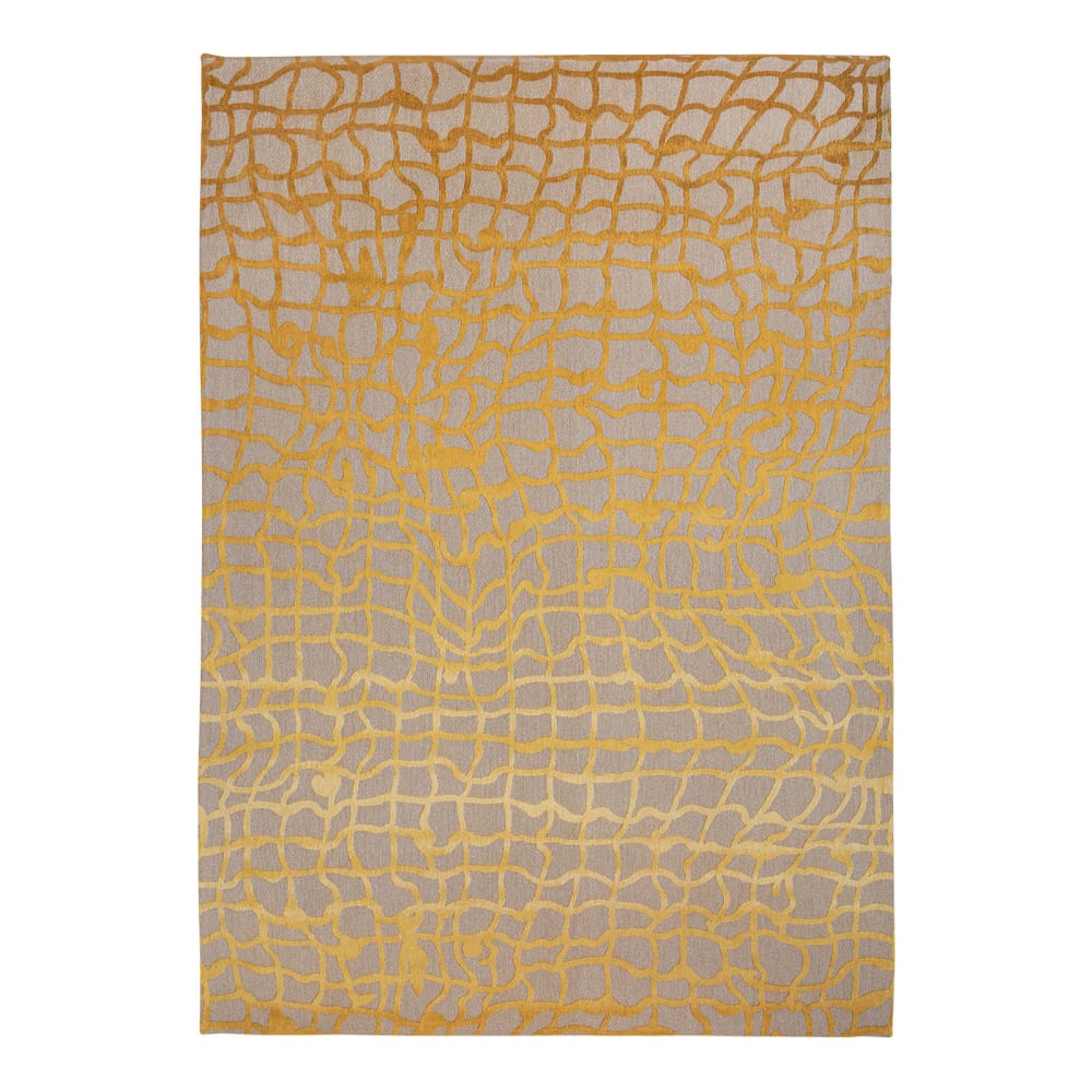 Tapis salon et chambre - plat