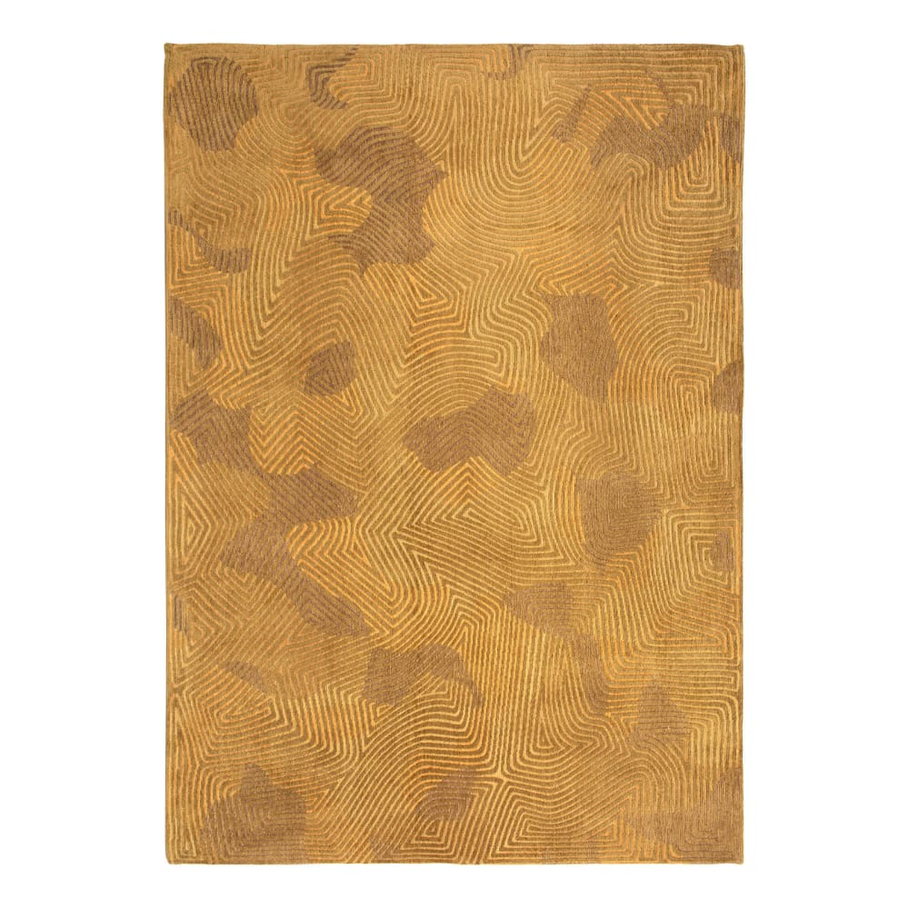 Tapis salon et chambre - plat