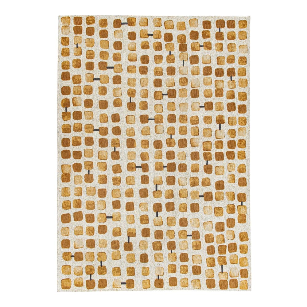 Tapis salon et chambre - plat