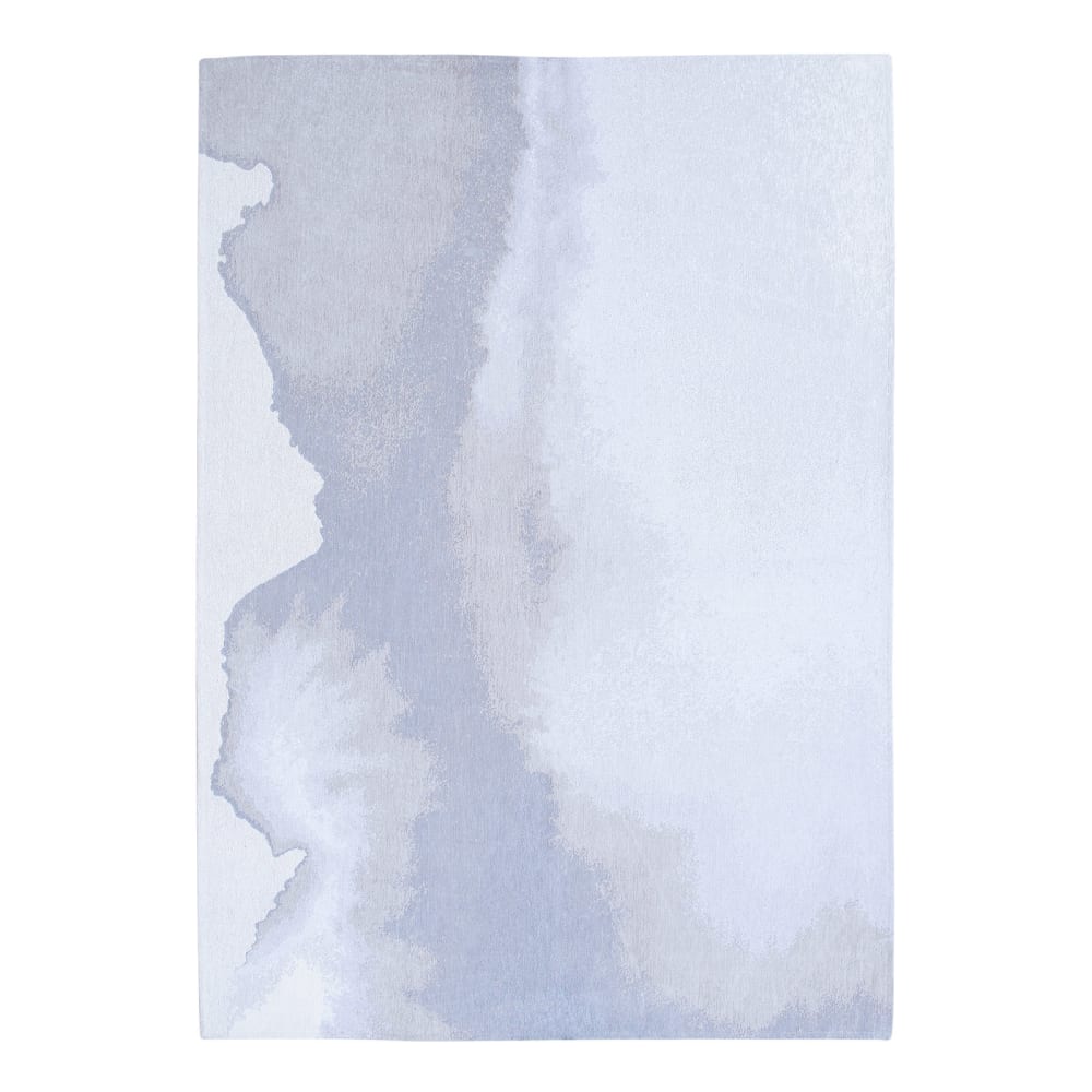 Tapis salon et chambre - plat