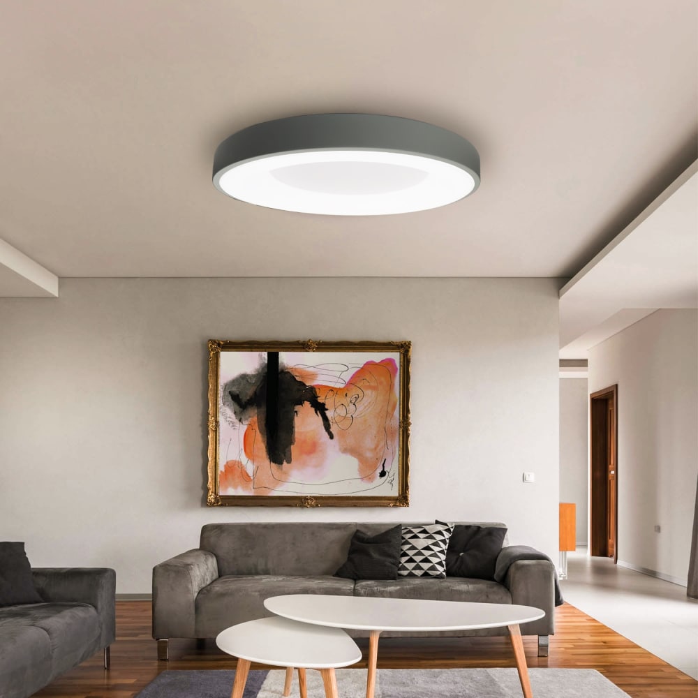 Plafonnier LED métal gris Ø50 cm, 40W CCT réglable — vue 3