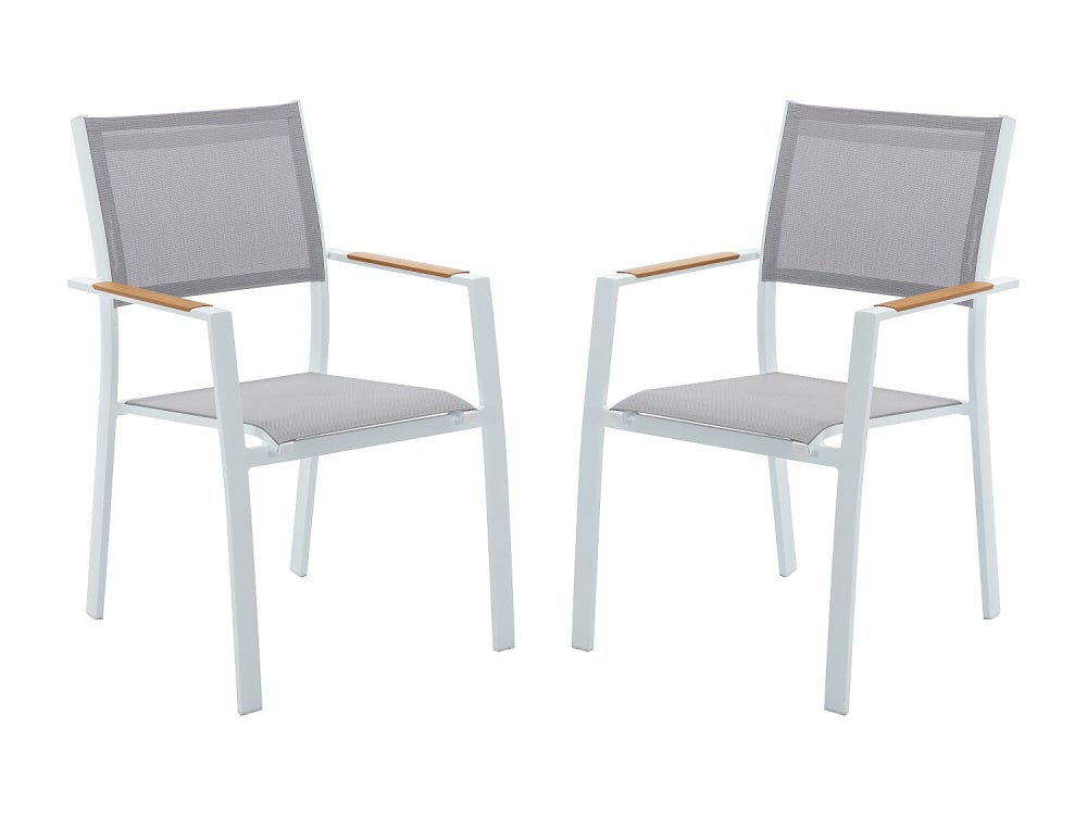 Lot 2 chaises jardin