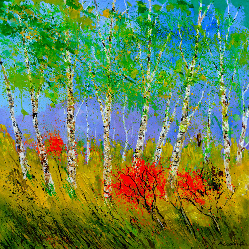 Tableau paysage bouleaux et coquelicots imprimé sur toile 80x80 cm