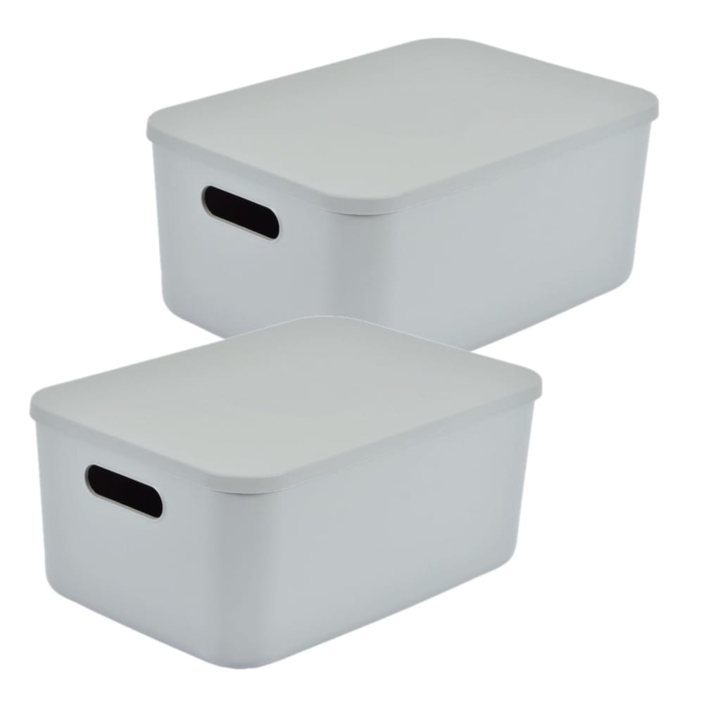Lot de 2 boîtes avec couvercle gris 10,5 l