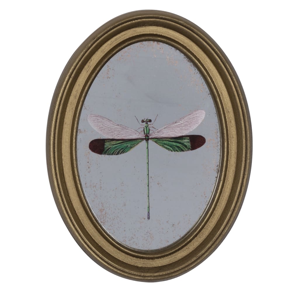 Déco murale encadrée libellule doré 20x30cm