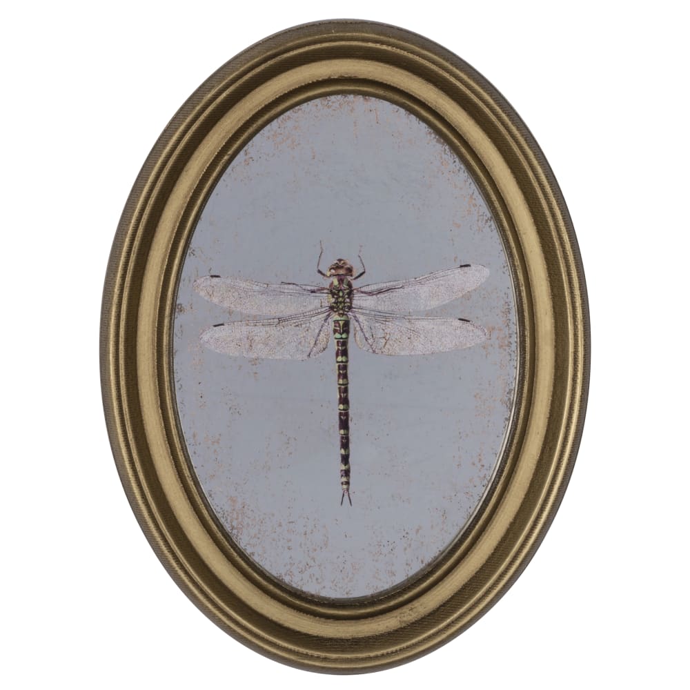 Déco murale encadrée libellule doré 20x30cm