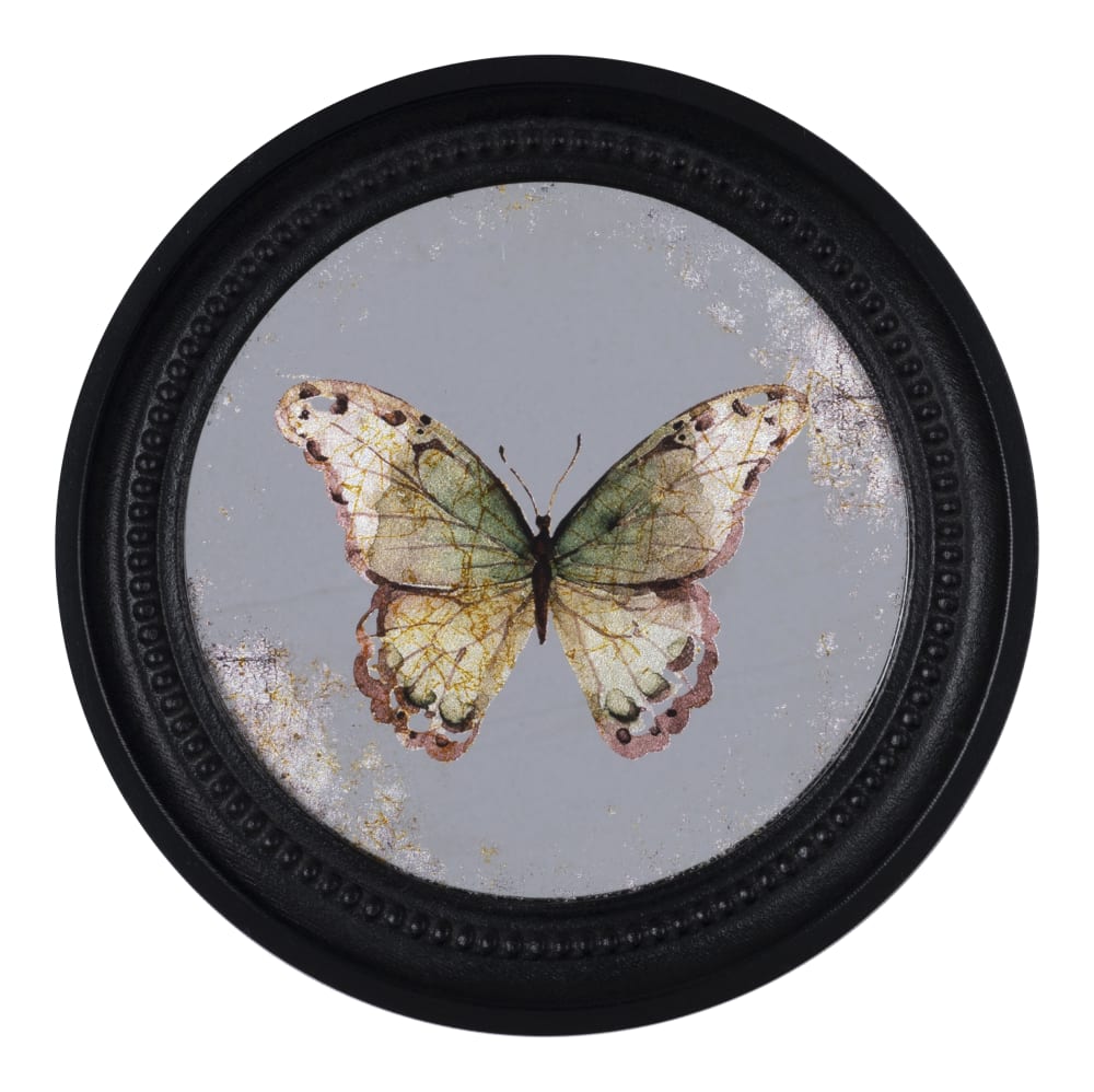 Déco murale encadrée papillon noir 27cm