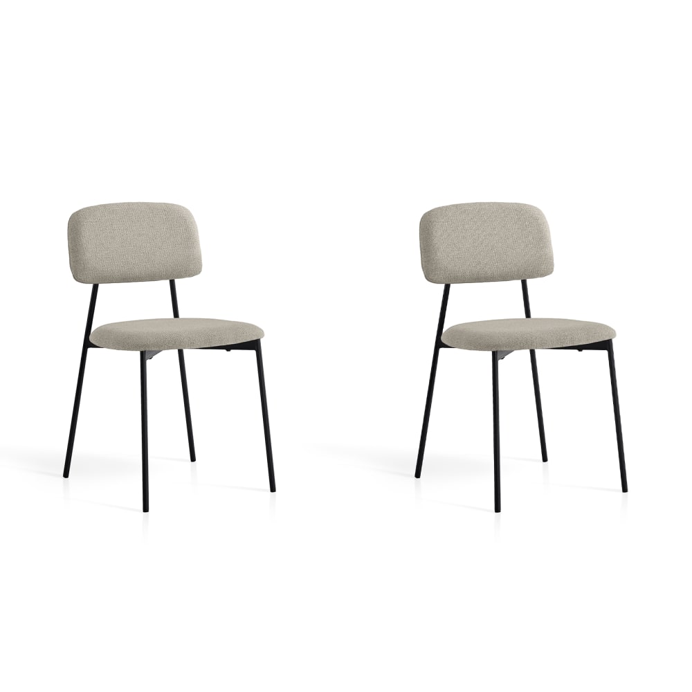 Lot de 2 chaises en fer