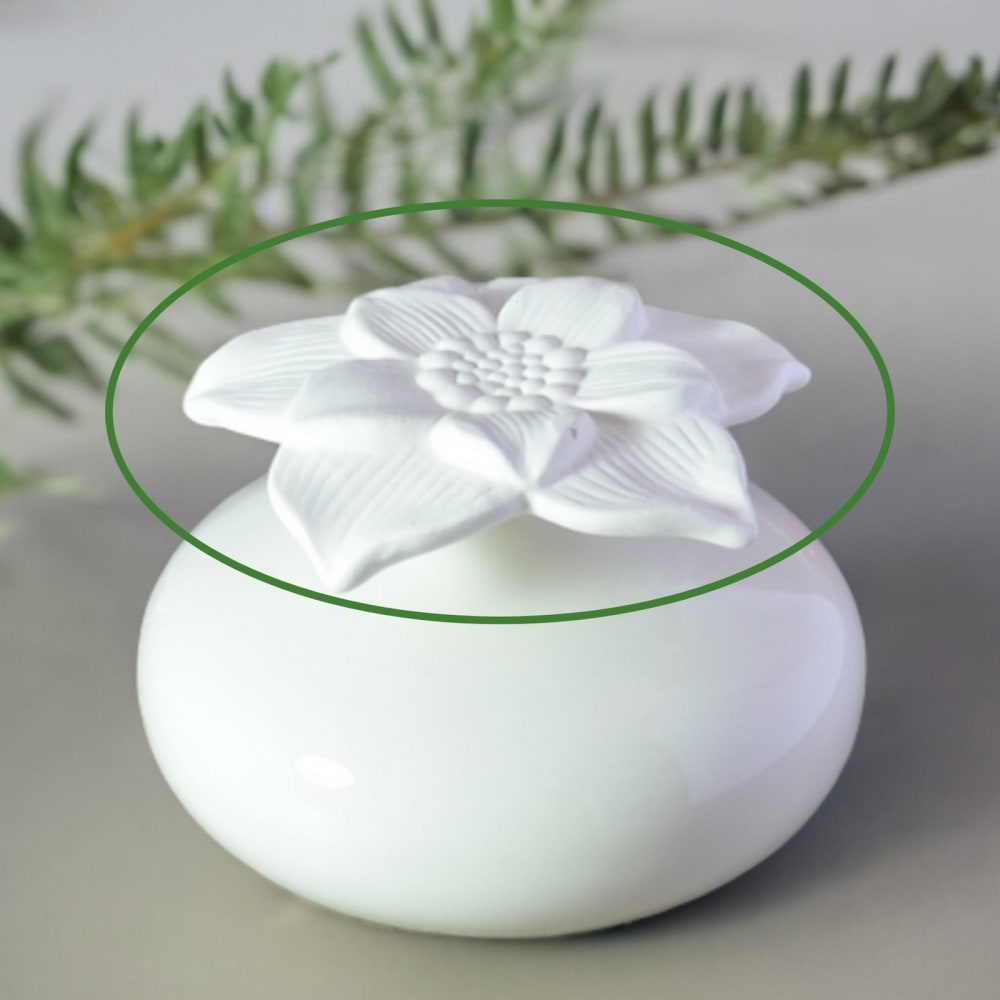 Fleur de rechange pour le diffuseur par capillarité - Maisons du Monde