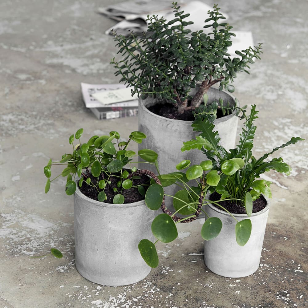 Cache-pots en ciment gris clair ( Lot de 3 )