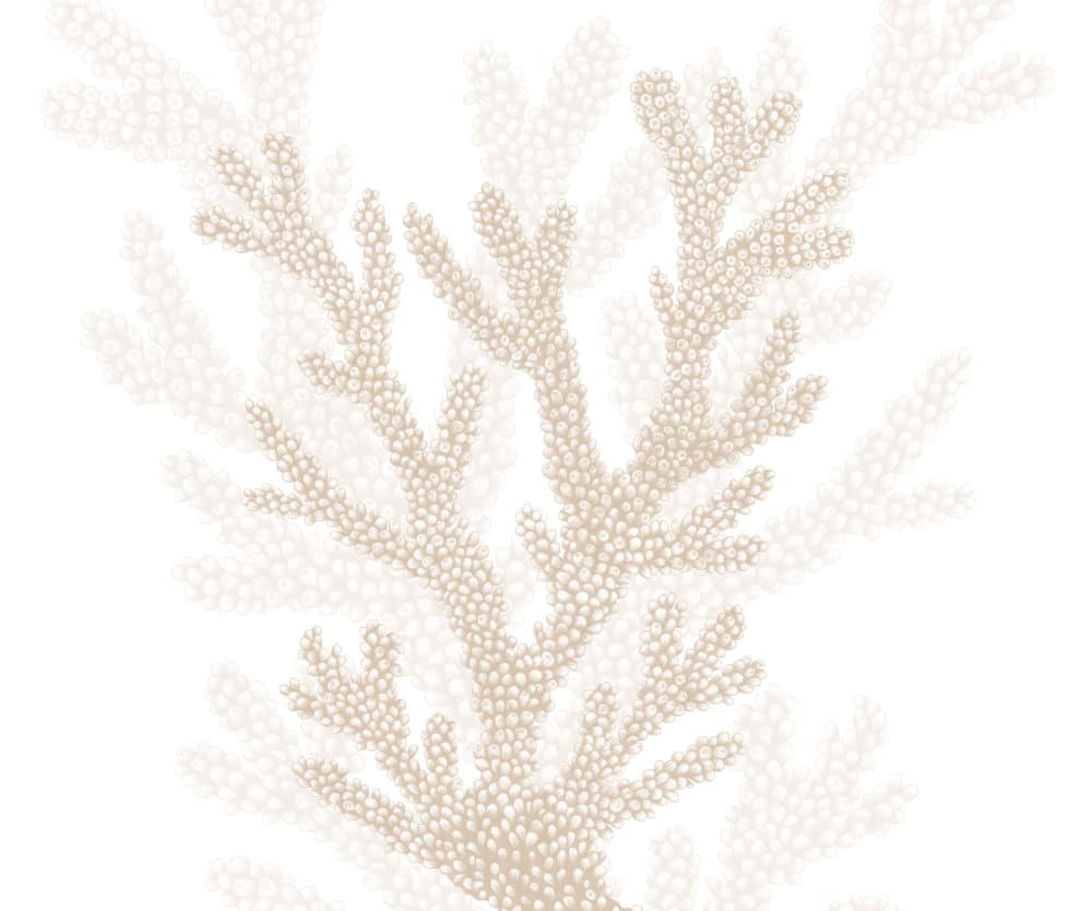 Papier peint corail, beige 300 x 250cm — vue 3