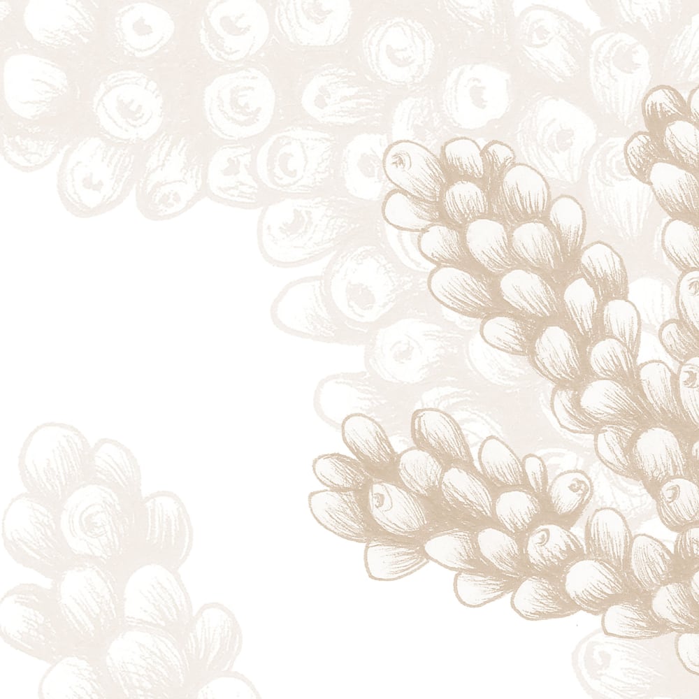Papier peint corail, beige 225 x 250cm — vue 4