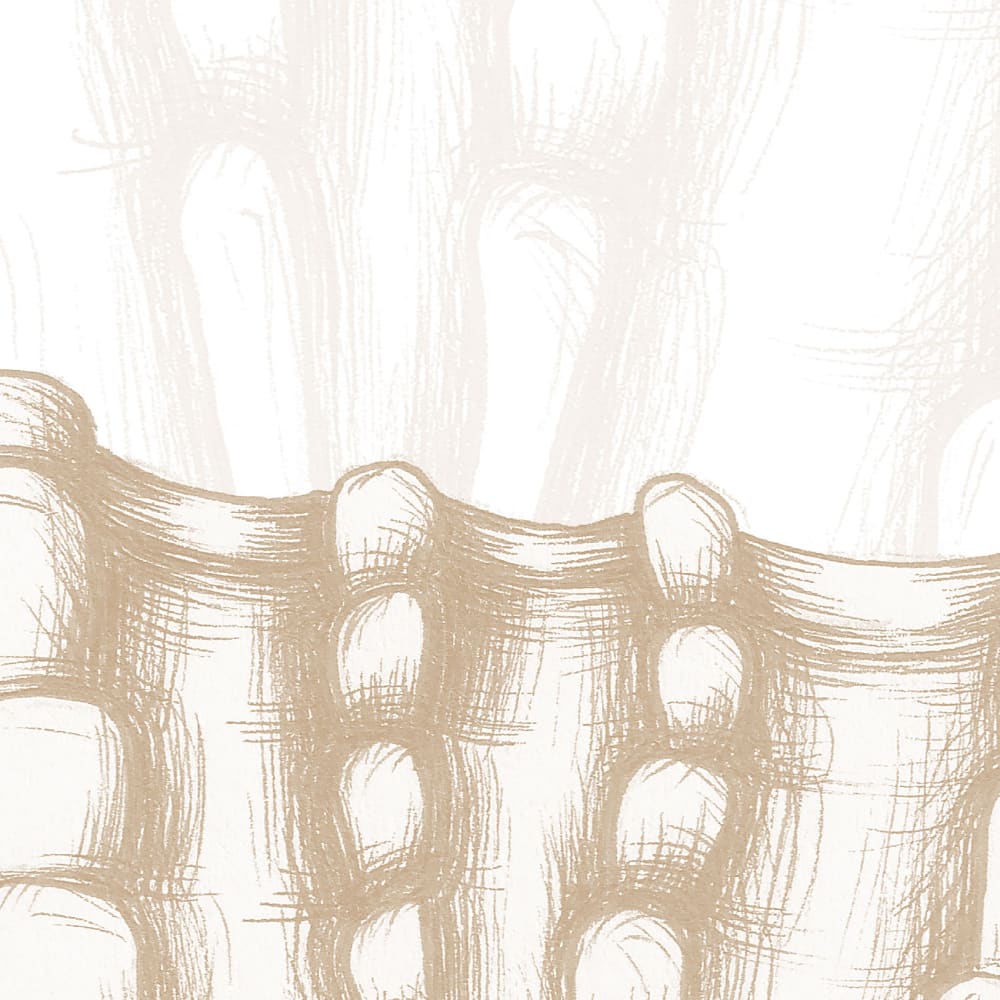 Papier peint coquillage, beige 300 x 250cm — vue 4