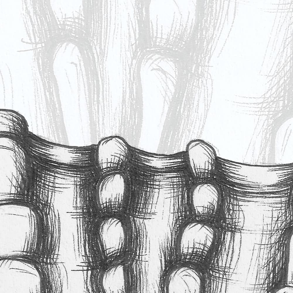 Papier peint coquillage, noir et blanc 300 x 250cm — vue 4
