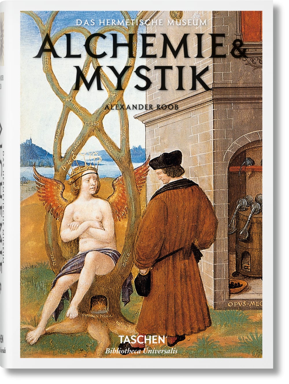TASCHEN Alchemie & Mystik (Deutsch) Mehrfarbig Papier