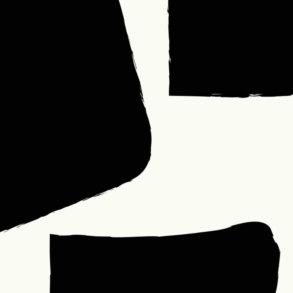 Papier peint panoramique - noir - intissé - 5 lés : 240x270cm — vue 4