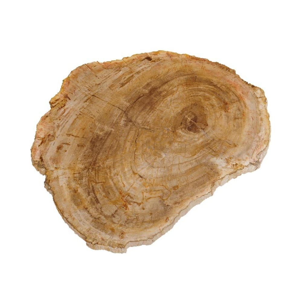Plateau à découper