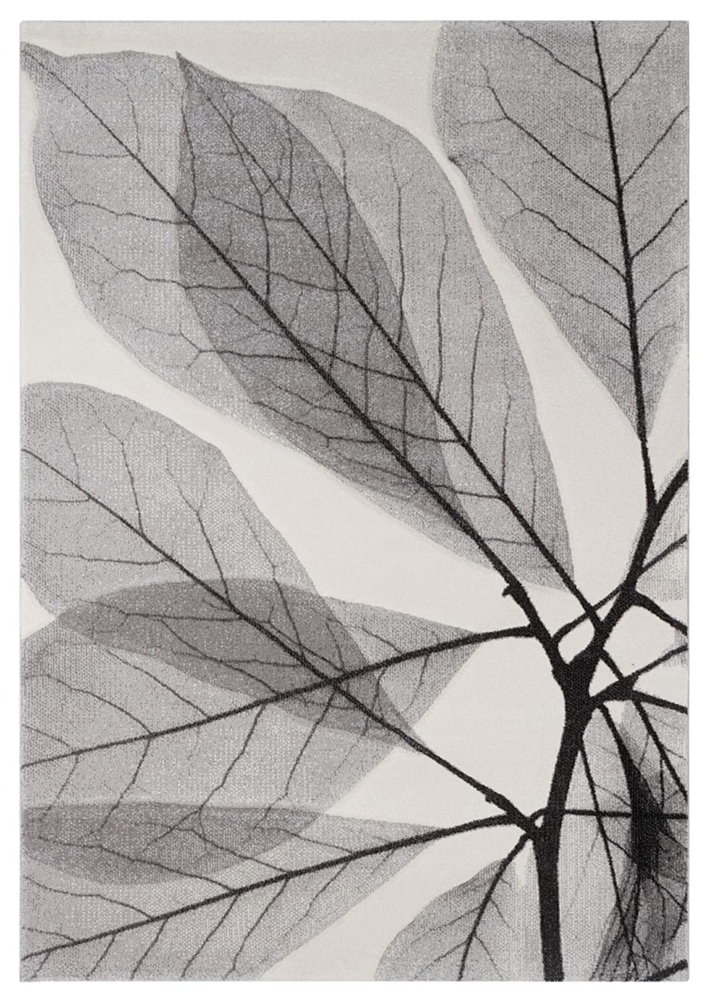 Carpet Living Moderner Teppich mit Blattmuster, Grau Schwarz, 190x133cm Grau Pp - Polypropylen