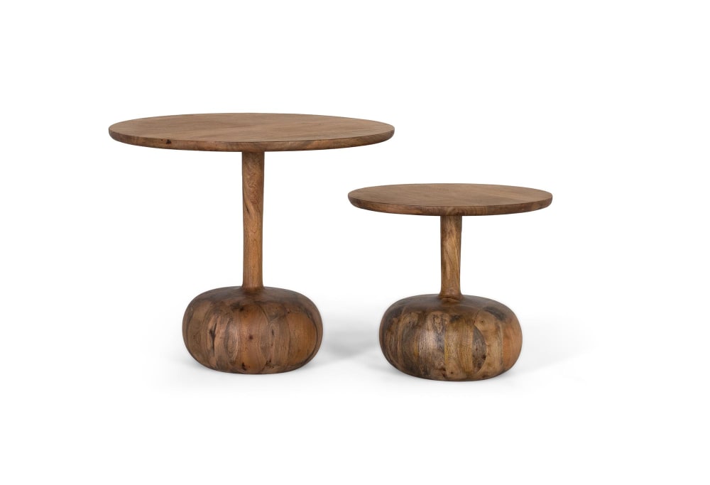 Lot de deux tables d'appoint