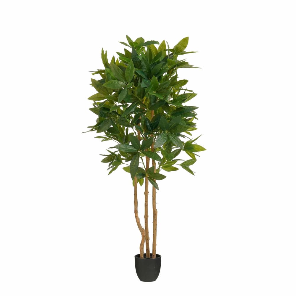 plante artificielle vert