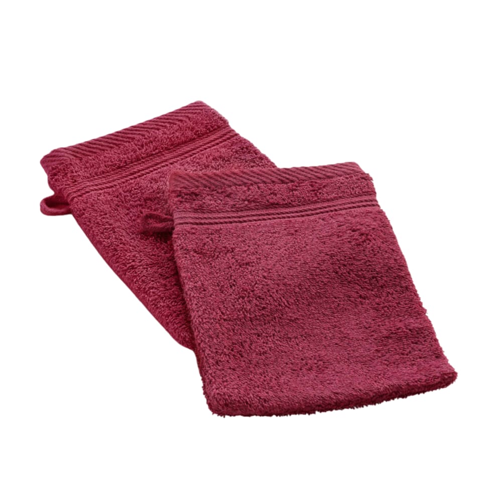 Lot de 2 Gants de Toilette Uni Tendresse 15 x 21 cm 500gr/m²