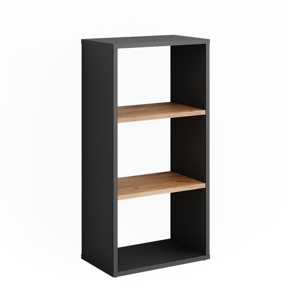 Armoire à chaussures  Anthracite/chêne doré 40x80.1cm