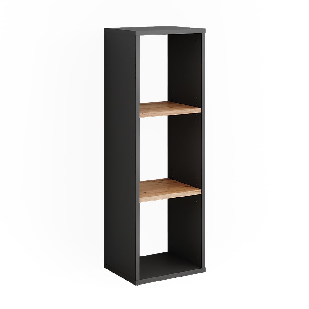 Armoire à chaussures  Anthracite/chêne doré 30x90.5cm