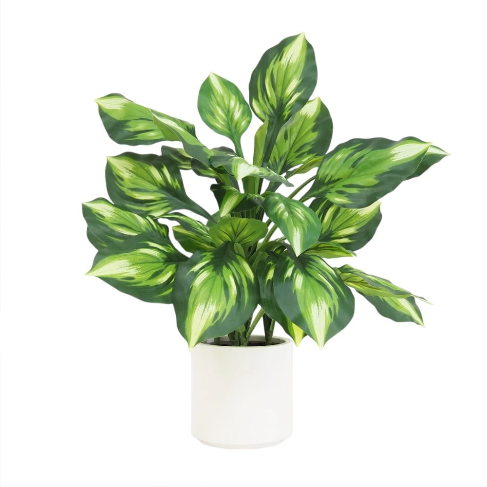 Dieffenbachia camilla - artificiel