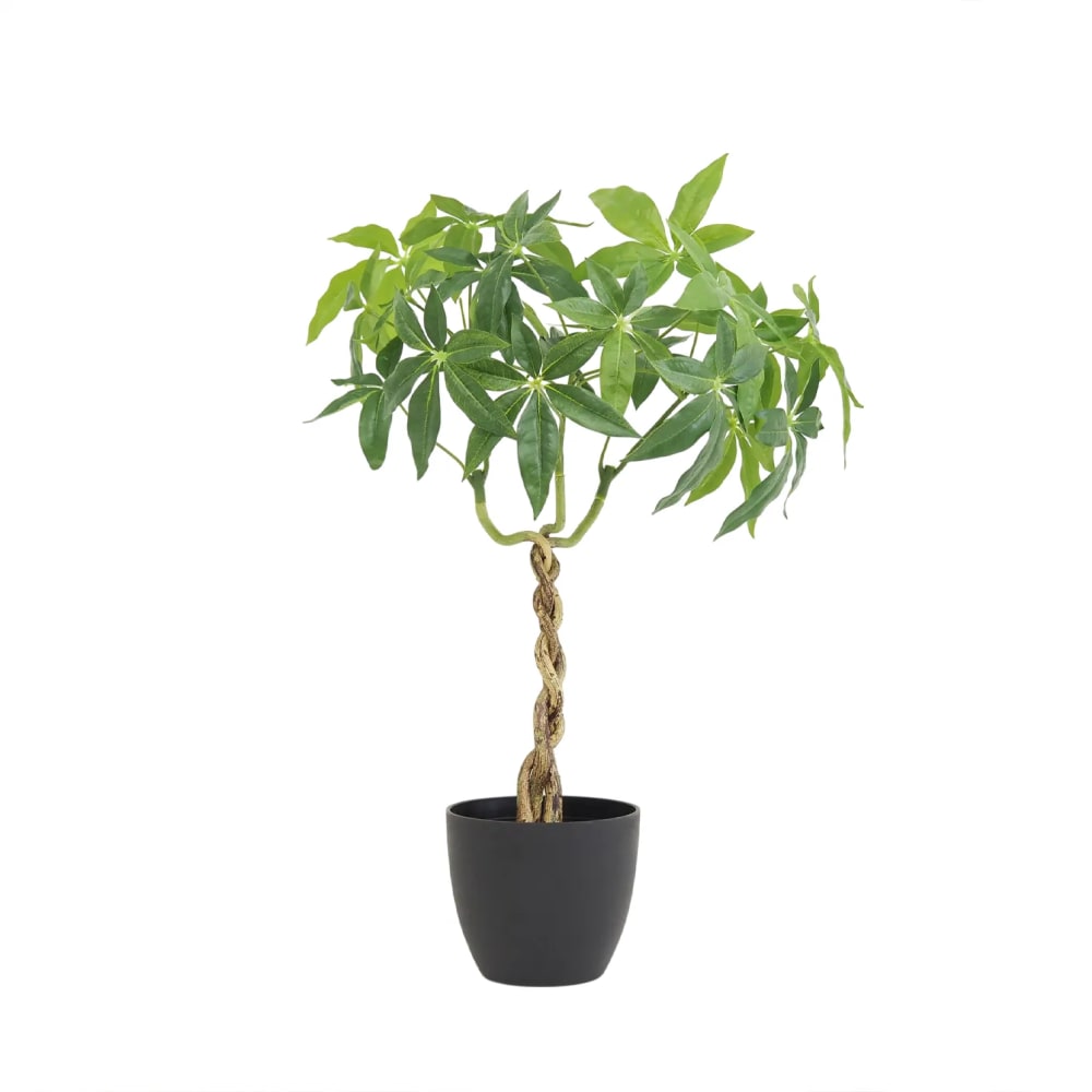 Plante artificielle pachira 60cm Plante artificielle pachira 60cm