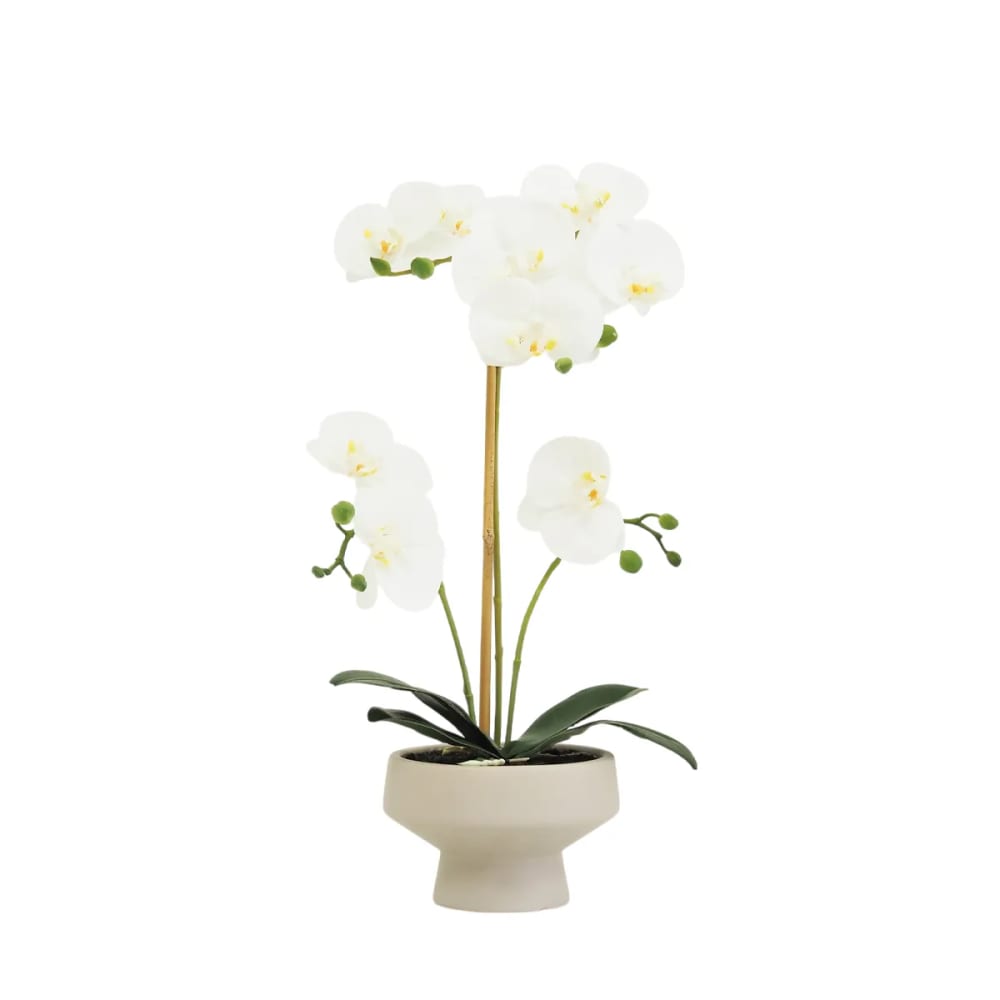 Orchidée artificielle toucher réel 45cm Orchidée artificielle toucher réel 45cm