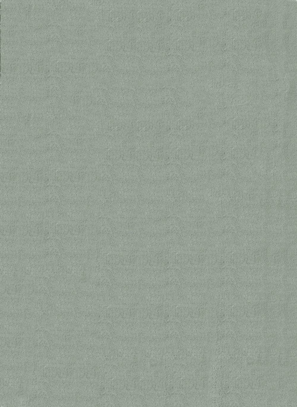 Tapis lavable moelleux élégant uni, Vert, 200 x 280 cm