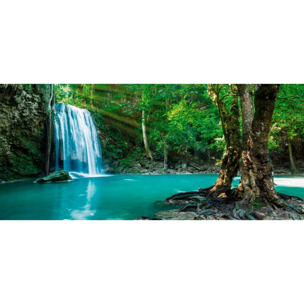 Tableau sur verre synthétique forêt profonde 65x145