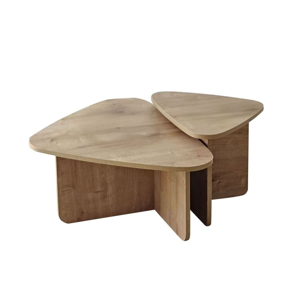 Lot de 2 tables basses