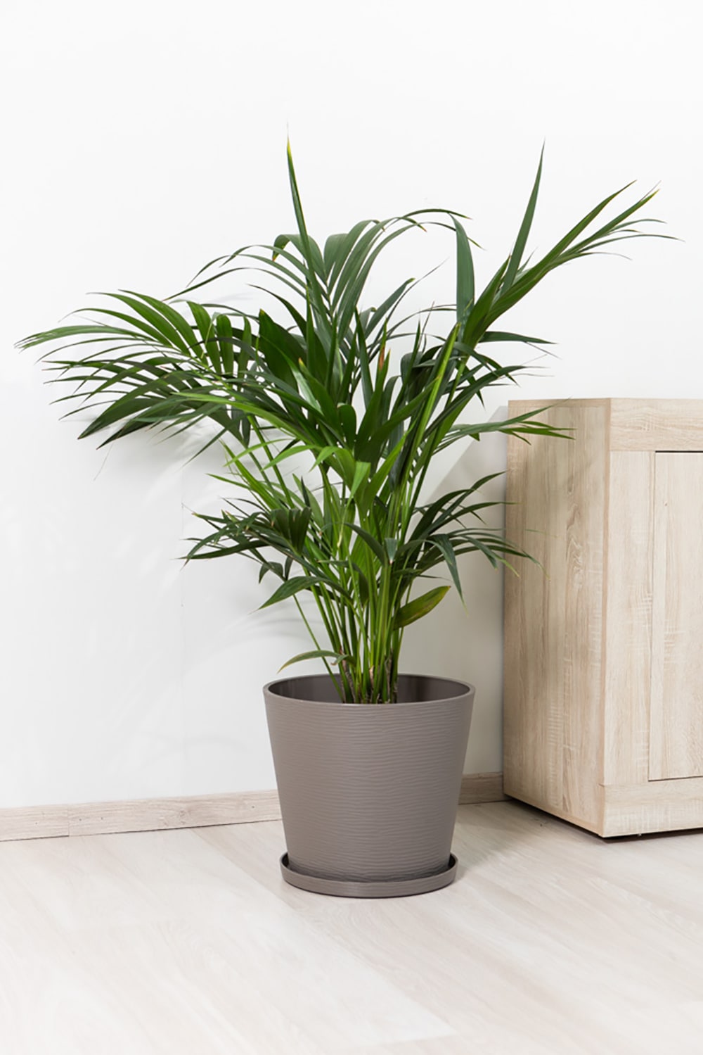 Lot de 2 pots ronds 38cm en polypropylène taupe avec soucoupe — vue 3